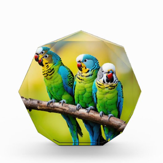 フォトブロック (正面)