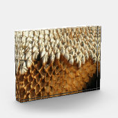 フォトブロック – ひまわり乾燥頭 (左)