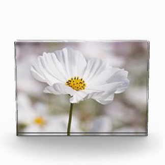 フォトブロック. フォトブロック