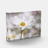 フォトブロック. フォトブロック (左)