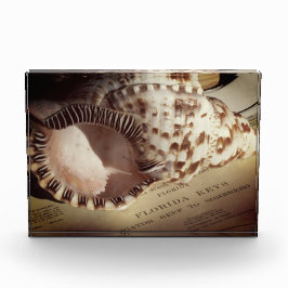 フォトブロック – フロリダ鍵シェルチャート