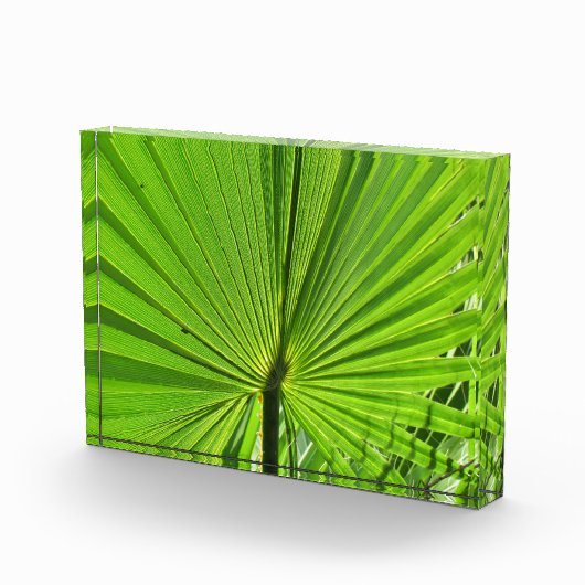 フォトブロック – Palm Fond (右)