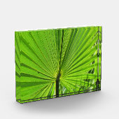 フォトブロック – Palm Fond (左)