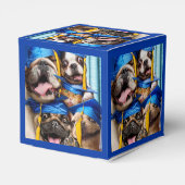 フォトブースの犬と猫の卒業生 フェイバーボックス (裏面サイド)