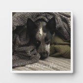 フォトプラーク縁どと文字HAMbWG フォトプラーク (正面)