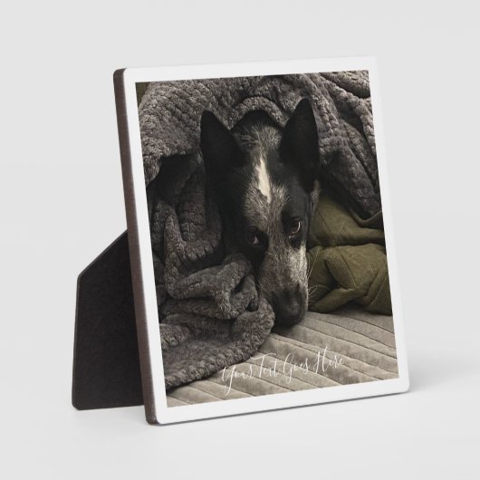 フォトプラーク縁どと文字HAMbWG フォトプラーク (正面)