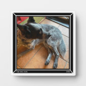 フォトプラーク黒縁どHAMbWG フォトプラーク (正面)