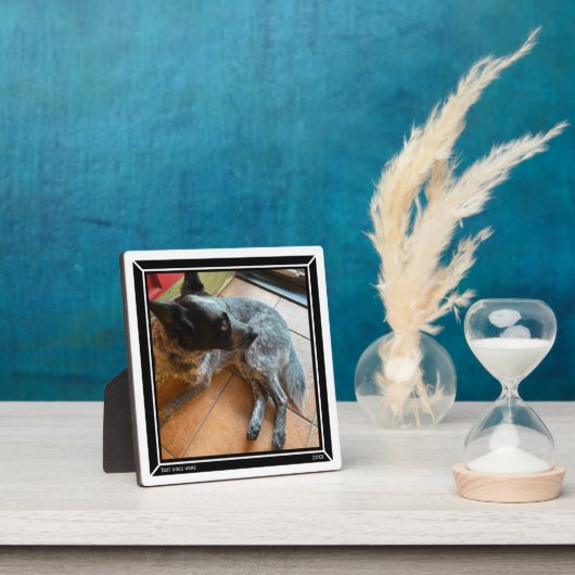 フォトプラーク黒縁どHAMbWG フォトプラーク (インサイチュ)