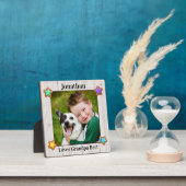 フォトプラーク (インサイチュ)