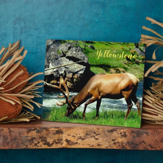 フォトプラーク – イエローストーンエルク (側面)