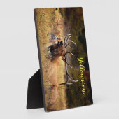 フォトプラーク – イエローストーンエルク (側面)