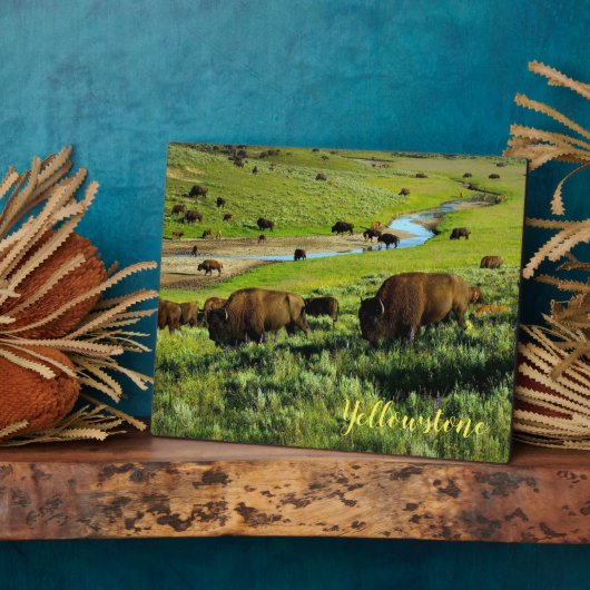 フォトプラーク – イエローストーンバッファロー (側面)