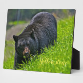 フォトプラーク – イエローストーンブラックベア (側面)