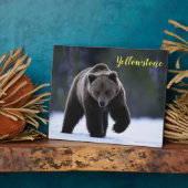 フォトプラーク – イエローストーンベア (側面)