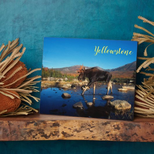 フォトプラーク – イエローストーンムース (側面)