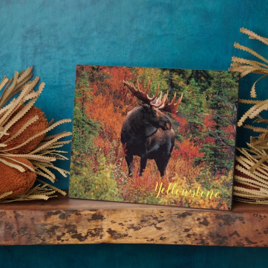 フォトプラーク – イエローストーンムース (側面)