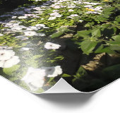 フォトプリントとPetunias フォトプリント (角)