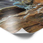 フォトプリントに2つの好奇心のあるトカゲ フォトプリント            (角)