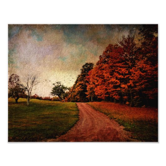 フォトプリントメア色 フォトプリント (正面)