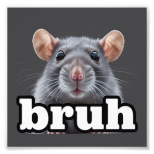  フォトプリント           