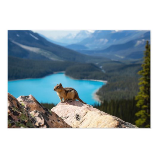 フォトプリント フォトプリント            (正面)