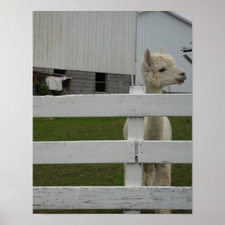 フォトプリント ポスター