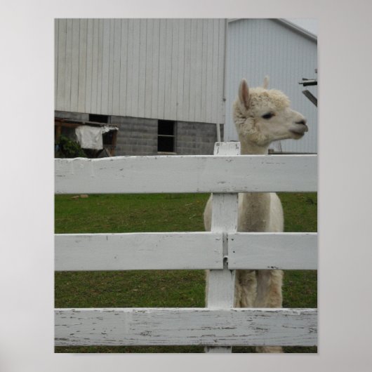 フォトプリント ポスター (正面)