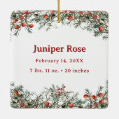 フォトベビー初めてのクリスマスヴィンテージ植物学 セラミックオーナメント (裏面)