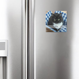 フォトペットシール（名前） マグネット