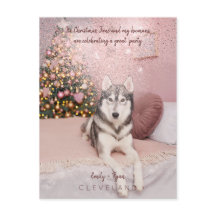 フォトペット洗練されたクリスマスパーティー