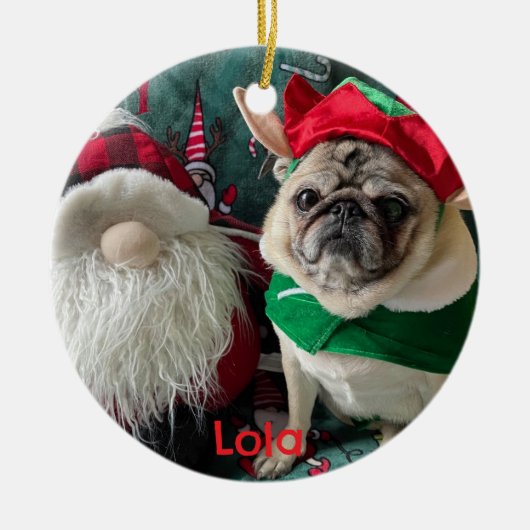 フォトペパーソナライズされたット記念オーナメント セラミックオーナメント (正面)