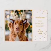 フォトホイモダンル 箔シーズンカード (正面)