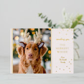 フォトホイモダンル 箔シーズンカード (立ち正面)