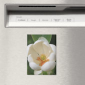 フォトホワイトマグノリア花開花- マグネット (インサイチュ (食洗機))