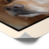 フォトポスター3 ポスター (角)