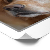 フォトポスター4 ポスター (角)