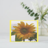 フォトポストカード7 Sunflower – ナチュラル美しい ポストカード (スタンド正面)