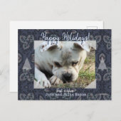 フォトポストカード(ヴィンテージペイズリー背景) ポストカード (正面/裏面)