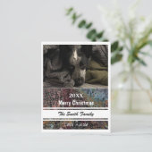 フォトポストカード – HAMbyWG シーズンポストカード (スタンド正面)