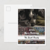 フォトポストカード – HAMbyWG シーズンポストカード (正面/裏面)