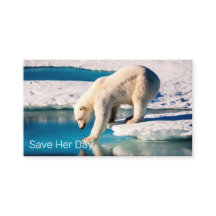 フォトポーラベアブルーホワイトインスピレーション自然