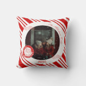 フォトポーラ表現ククリスマスチケット クッション (正面)