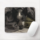 フォトマウスパッド – HAMbyWG マウスパッド (マウス)