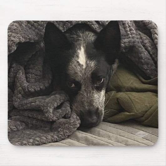 フォトマウスパッド – HAMbyWG マウスパッド (正面)