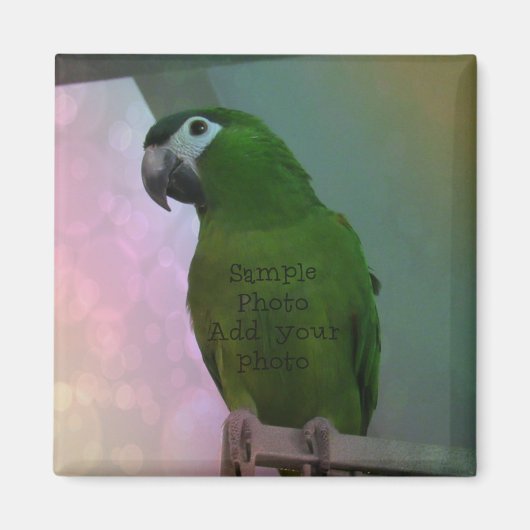 フォトマグネット（写真を追加） マグネット (正面)