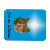 フォトマグネット - 猫は奇跡 マグネット (横)