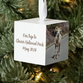 フォトメモリ キューブオーナメント