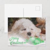 フォトメリークリスマススノーオーバーレイ予算グリーン シーズンポストカード (正面/裏面)