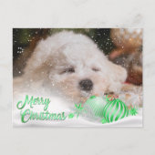 フォトメリークリスマススノーオーバーレイ予算グリーン シーズンポストカード (正面)