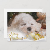 フォトメリークリスマススノーオーバーレイ予算金ゴールド シーズンポストカード (正面/裏面)